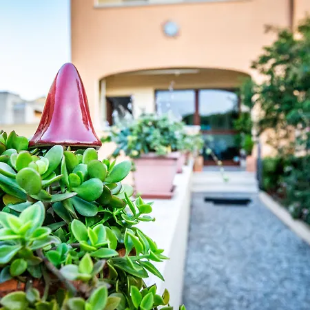 Sun&sardinia 게스트하우스 몬세라토