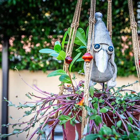 Sun&sardinia 게스트하우스 4*